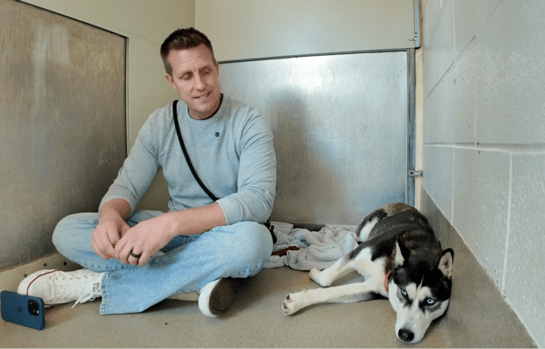 Sitting with dogs 85 - KOA